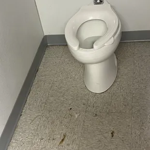 close up of poop on girls bathroom floor
