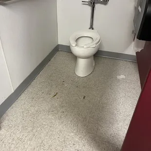 poop on girls bathroom floor