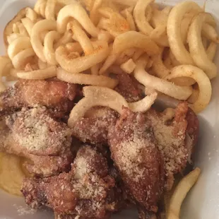 Garlic Parmesan wing basket with fries from USA Wings