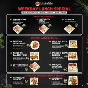 Tandoori Lunch Special