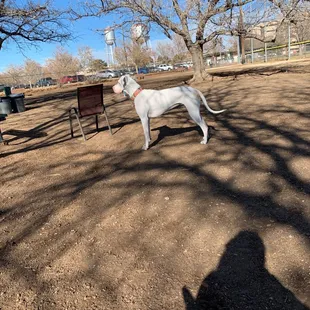 Millie watching her friends enter the gate