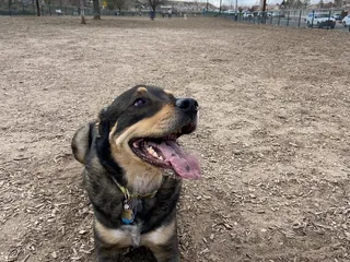 Taylor Ranch Dog Park
