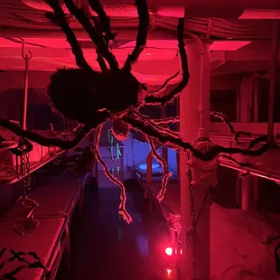 Halloween in Sick Bay