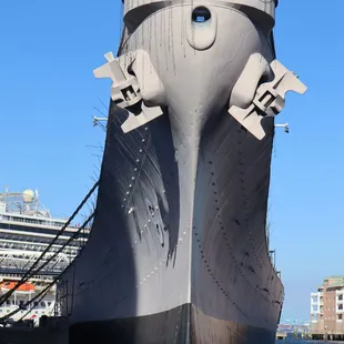 Hybrid Bow of the "WisKy"