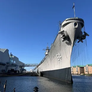 All decked out with Christmas lights
