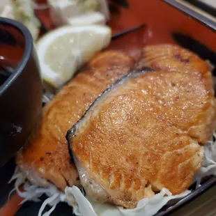 Salmon