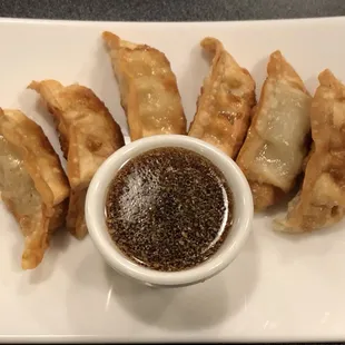 Fried Pot Sticker - Pork