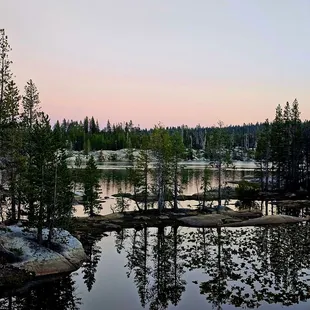 Reflections of the moon over the lily pad pond