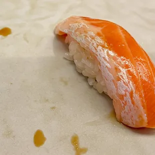 Ocean Trout