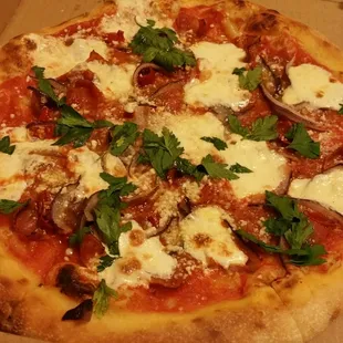 Spicy Salami Pizza