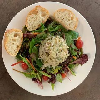 Fresh Tombo Tuna Salad