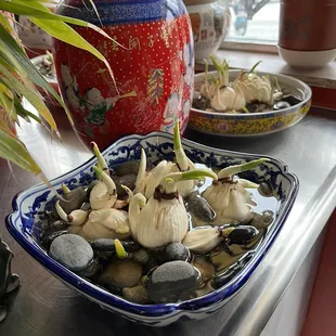 a bowl of garlic and cloves