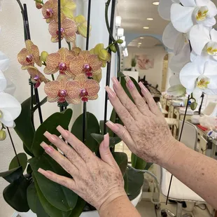 V nails &amp; spa