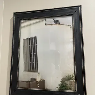 Women&apos;s bathroom decor