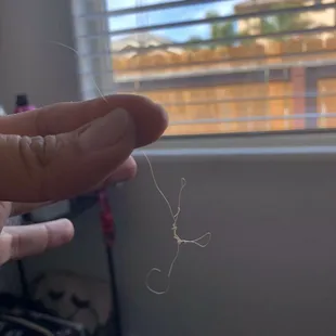 Broken cotton hair. My hair is breaking every time  I wash it.  I have broken hairs all over my clothes. This is a nightmare