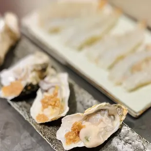 Garlic Oyster