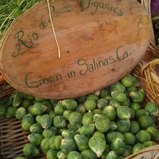 a variety of vegetables