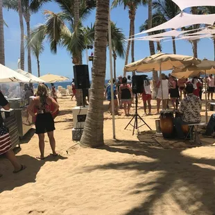 Make Your way through the Palm Trees to Your Perfect spot!