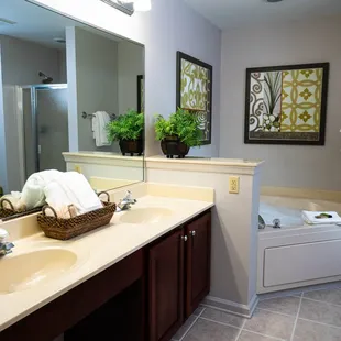 Two-Bedroom Suite - A Suite - Primary Bathroom With A Jetted Tub and Walk-In Shower