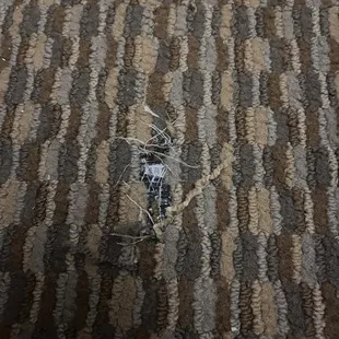 Carpet tear