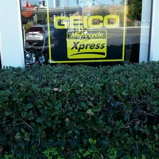 We are the only GEICO prefered repair facility in Solano County.