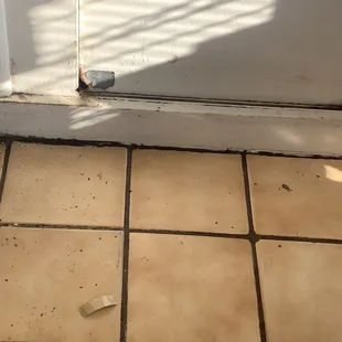 Mouse poop near the front door just to the right :(