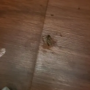 Killed a roaches to a dirty ass dresser.