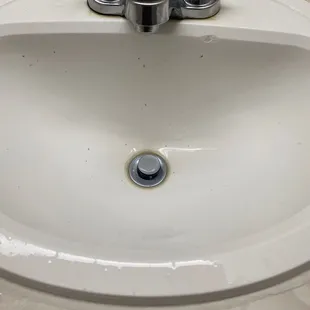 Dead bug residue in the sink.