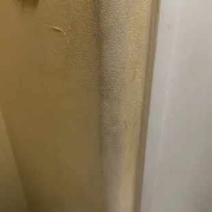 Wall behind shower curtain