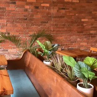 sushi and sashimi, interior