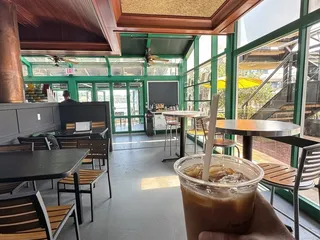 Matriarch Coffee