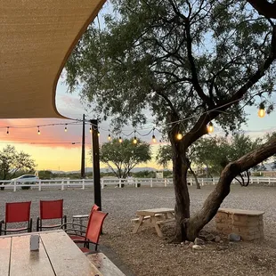 a table and chairs under a tree
