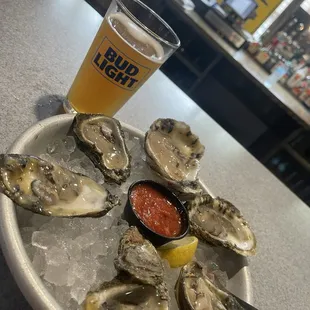 Raw Chesapeake oysters