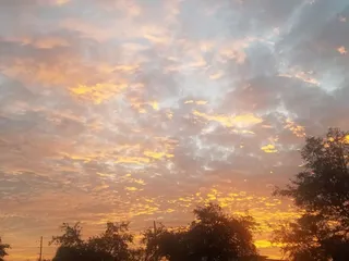 Kenner City Park Pavilion