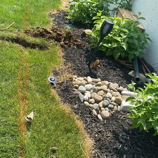 a garden bed with rocks and plants