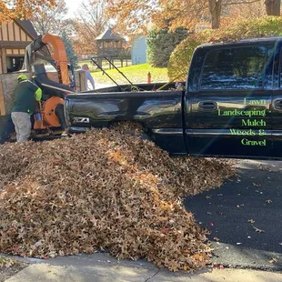 We are doing a pick up leaves