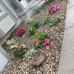 a flower bed in front of a house