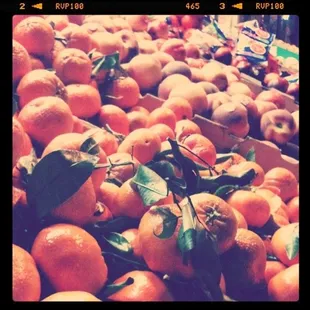 a lot of oranges