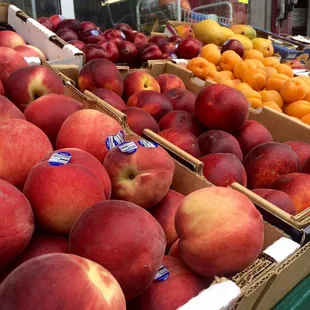 peaches and oranges
