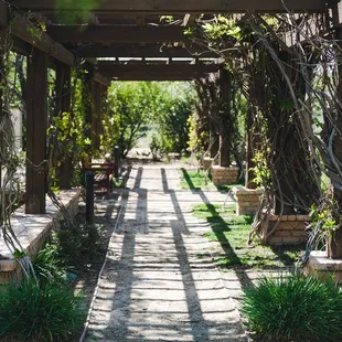 Look for this spot out back, beyond the gate, for a great photo opportunity.