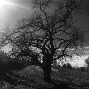 My Ansel Adams impersonation