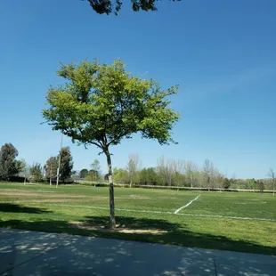 Love the greenery.