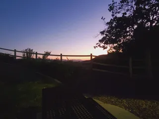 Todd Longshore Park