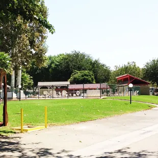 Grass Surrounding The Pools