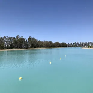 From Valentin Vineyards!