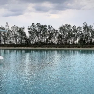 The lake and pedal boating