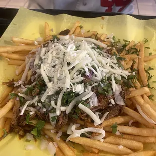 Birria fries
