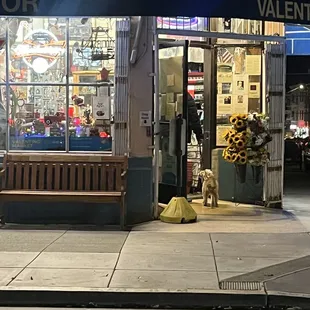 Dog walking in store.