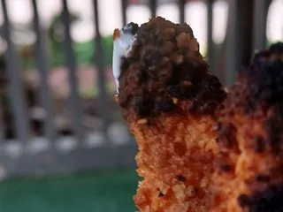 daVinci's