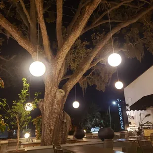 Beautiful outdoor seating to the side of the entrance
